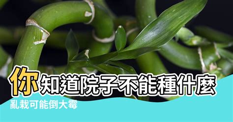 家裡不能種什麼樹|家中種樹的7大風水禁忌